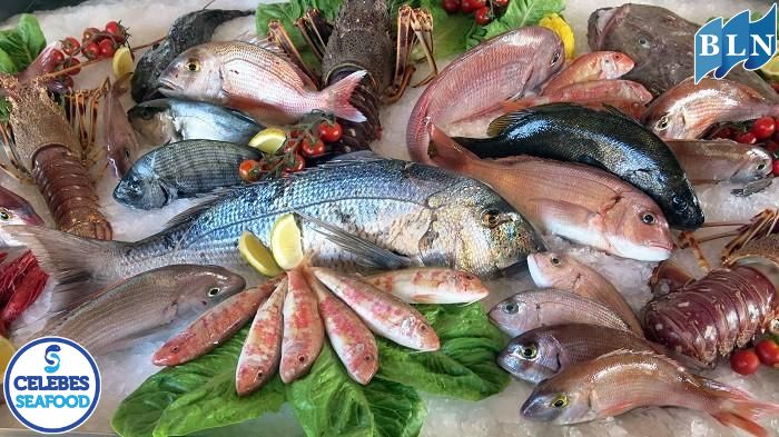  Recognizing the Dangers of Eating Sea Fish and How to Overcome Them